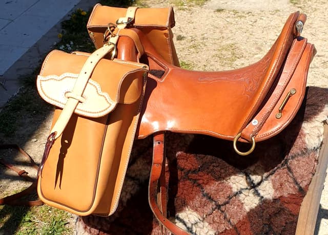 Equipement Cheval